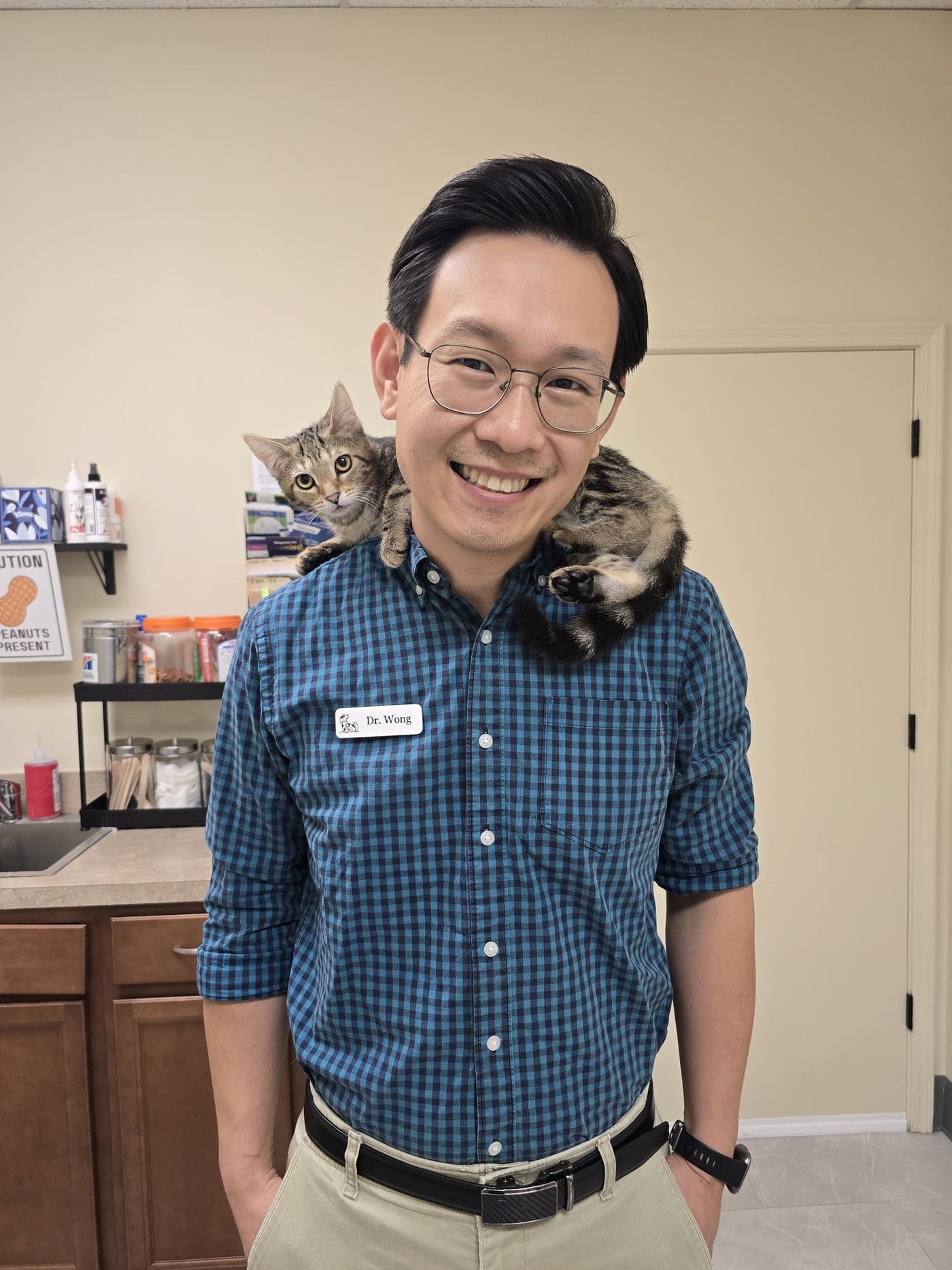 Dr. David Wong, DVM in the exam room at PetVetWELL in Mentor, OH, with a tabby kitten perched on his shoulder